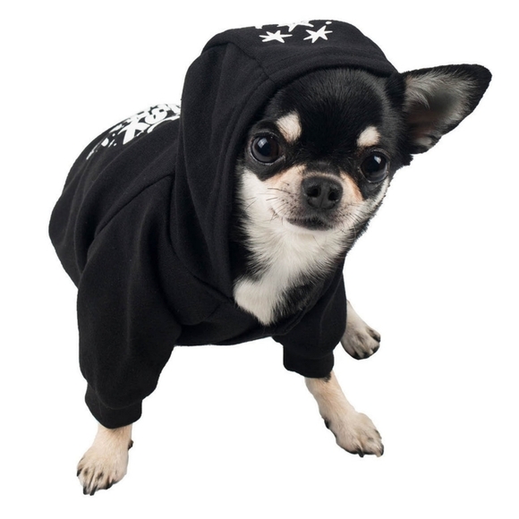 Killstar ✦ Hex Pet Hoodie ✦ L Black Jersey Cotton “I Hex Normal People” NWT - Picture 4 of 13